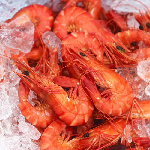 Extra Large (U10/15) Cooked Wild Caught Tiger Prawns